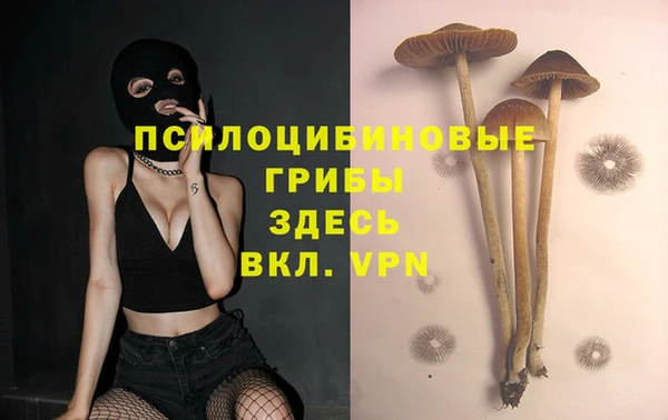 ГАЛЛЮЦИНОГЕННЫЕ ГРИБЫ Заводоуковск