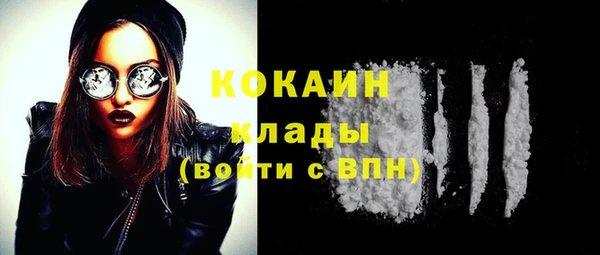 шишки Заволжье