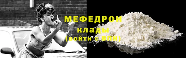 шишки Заволжье