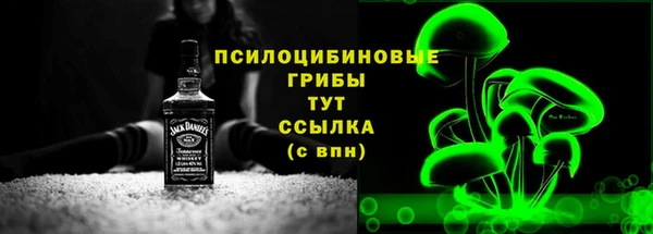 ГАЛЛЮЦИНОГЕННЫЕ ГРИБЫ Заводоуковск