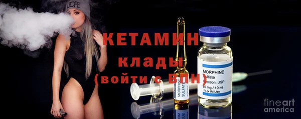 шишки Заволжье