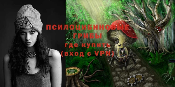 ГАЛЛЮЦИНОГЕННЫЕ ГРИБЫ Заволжск