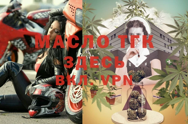 шишки Заволжье