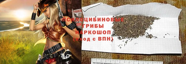 шишки Заволжье