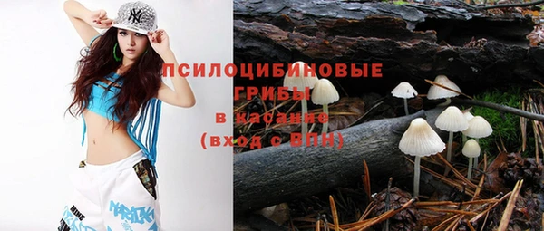 ГАЛЛЮЦИНОГЕННЫЕ ГРИБЫ Заволжск