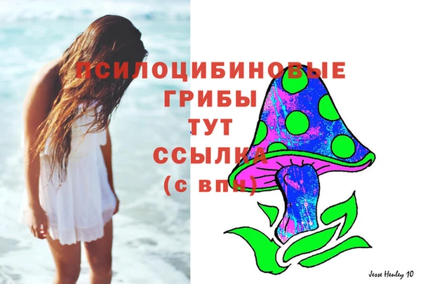 шишки Заволжье