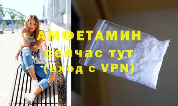 шишки Заволжье