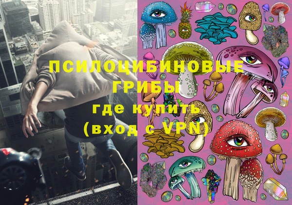 шишки Заволжье
